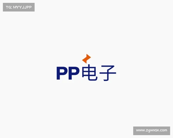发现PP电子